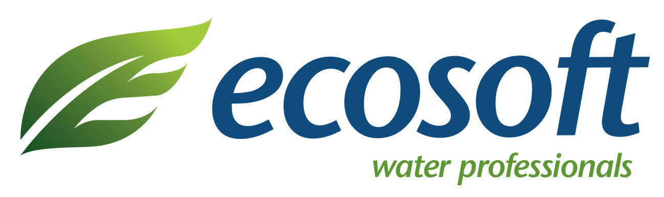 logo-Ecosoft