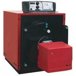 Котел комбінований Protherm 100  NO "Бізон"
