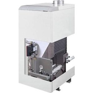 Котел газовий Protherm 30 TLO “Ведмідь”